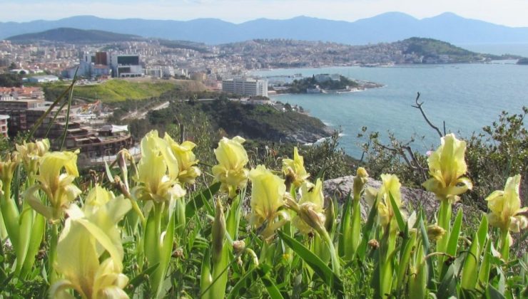 Kuşadası’nda STK’ler ayağa kalktı